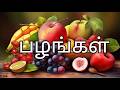 பழங்களின் பெயர்கள்/Learn Fruit Names in Tamil for Kids/Fruits Name