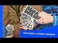 Завораживающая Взгляд Карточная Техника / FRIFFLE CASCADE - обучение