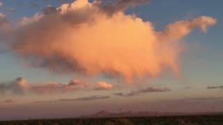 IMG 4028