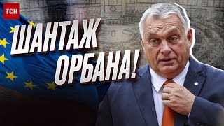 😡 Шантаж Орбана! В ЕС реагируют на скандальные заявления венгра о войне в Украине