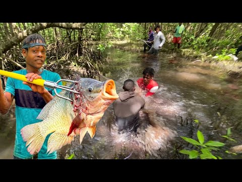 We did not expect this fish in the mangrove!! | CATCH CLEAN AND COOK