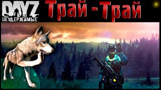 Трай Трай - Dayz Неудержимые Аномальск ✌ Музлострим Патч 1.18