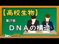 高校生物 第27回 DNAの構造 オンラインで高校授業