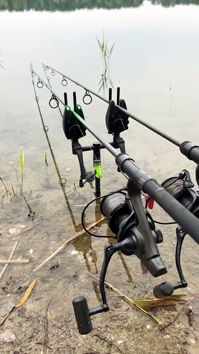 Alat pancing serba modern #shortsviral #viralmancing #amazing #sungaikalimantan #fishingcampborneo
