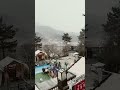 25.01.03 #권가네 #눈 #청양