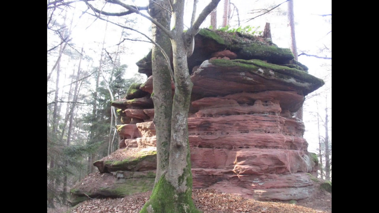 Sandsteinfelsen im Dahner Wald