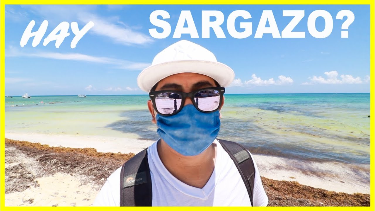 🔴 PLAYA DEL CARMEN Hoy ¿Sargazo? / ¿Hoteles Abiertos? / adunadjtv YouTube 🔴 PLAYA DEL CARMEN Hoy ¿Sargazo? / ¿Hoteles Abiertos? / adunadjtv YouTube