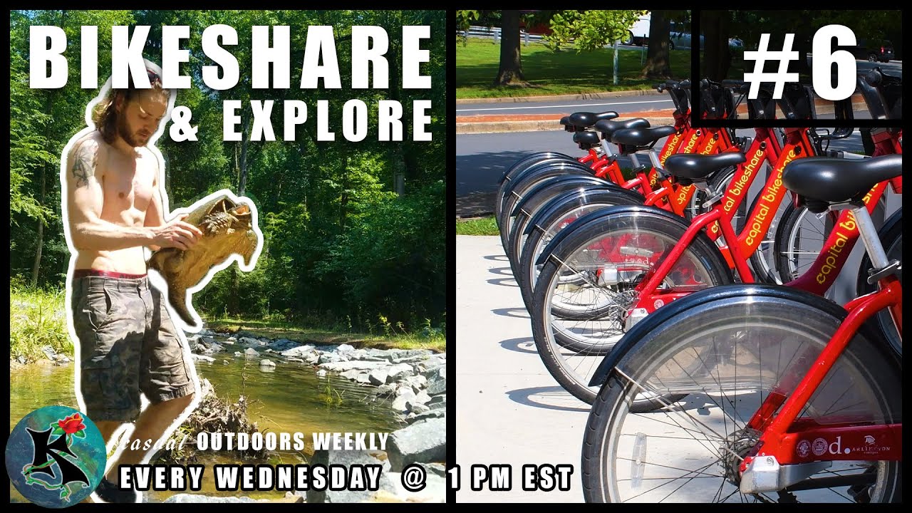 Bikeshare Snapping Turtle Bite Force KNOW 6 YouTube Bikeshare snapping turtle bite force know 6 youtube