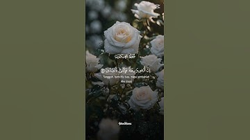 #سورة_العنكبوت#عبدالرحمن_مسعد #اكسبلور #المصحف #قرآن #راحة_نفسية #قران_كريم #عبدالرحمن_مسعد