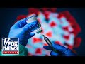 Essential workers continue to resign over vaccine mandates | Fox News Rundown