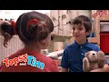 Special Invitation | Topsy & Tim | Live Action Videos for Kids | WildBrain Live Action