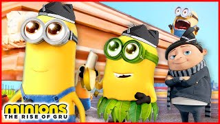 Minions The Rise Of Gru - Coffin Dance Song Cover