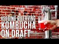 How to Keg Kombucha and Serve Kombucha on Draft