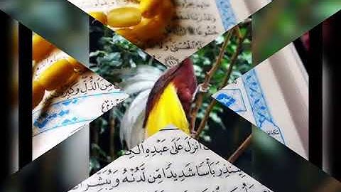 من قرا سورة الكهف في يوم الجمعة سطع له نور من تحت قدمه إلي عنان السماء