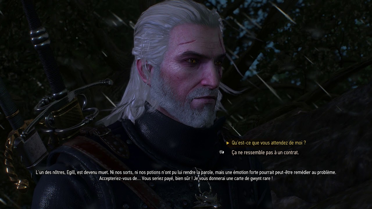 The Witcher 3 Site D énergie [The Witcher 3 : Wild Hunt] 70. Un Sorceleur Ennemi - YouTube