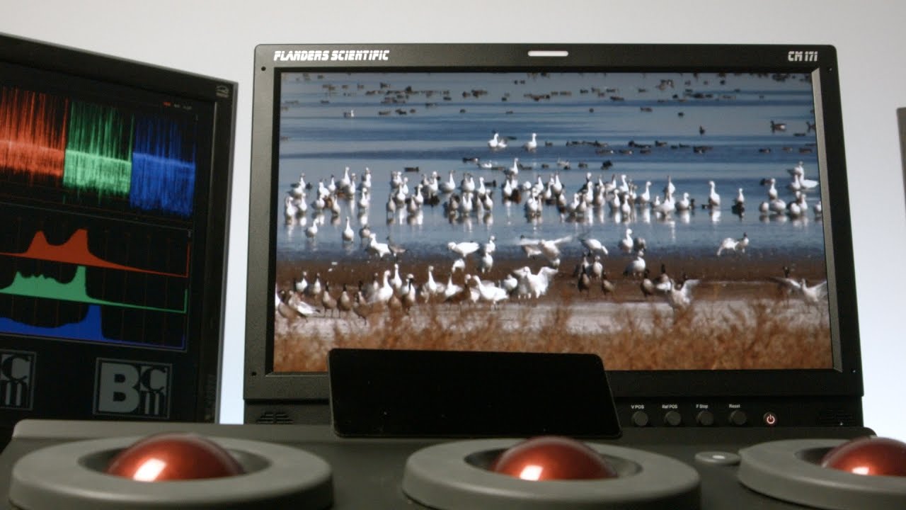 FLANDERS SCIENTIFIC CM171 MONITOR DRIVER PC FLANDERS SCIENTIFIC CM171 MONITOR DOWNLOAD DRIVER