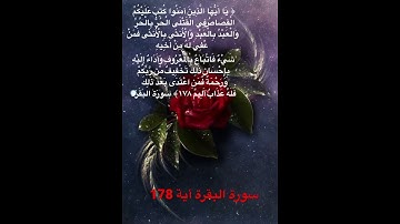 #خلفيات #دينية #سورة #البقرة #آية #178#راحة#نفسية#هدوء#رضا#من#الله#الباقيات # الصالحات