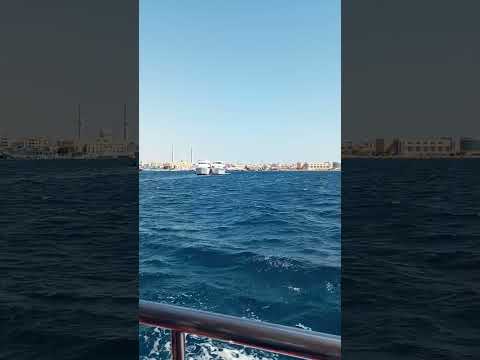 Экскурсия на яхте по Красному морю. Египет. Июль 2023. ч.2