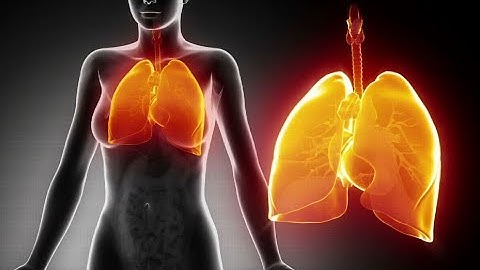 Pneumococcal pneumonia