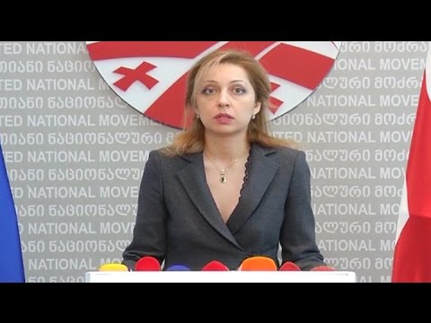 \"ერთიანი ნაციონალური მოძრაობის\" წევრის ნინო კალანდაძის ბრიფინგი
