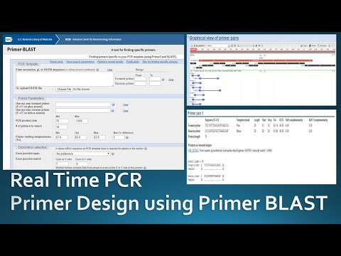 Primer designing for real time PCR using NCBI Primer Blast