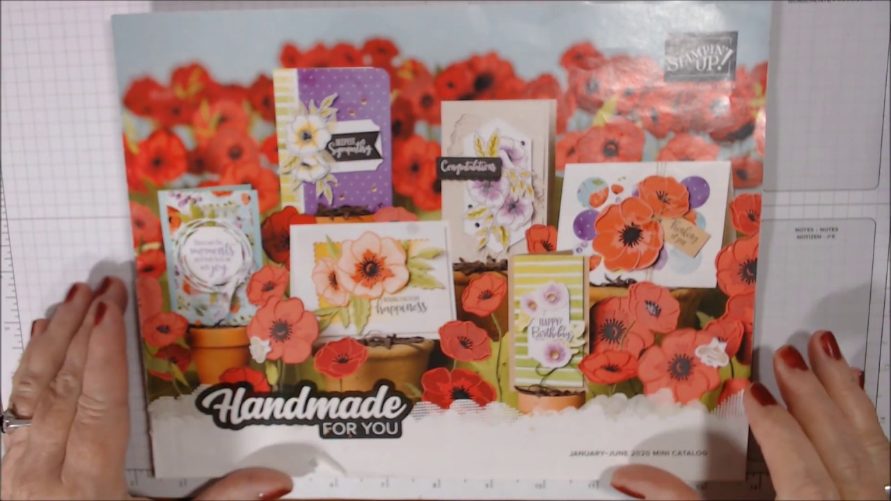 Stampin' Up!'s 2020 Mini Catalog and Sale-A-Bration Walk Through (V1262 ...