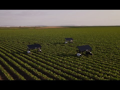 Aigen Unveils the World's First AI-Driven, Solar-Powered, Agricultural Robotics Service