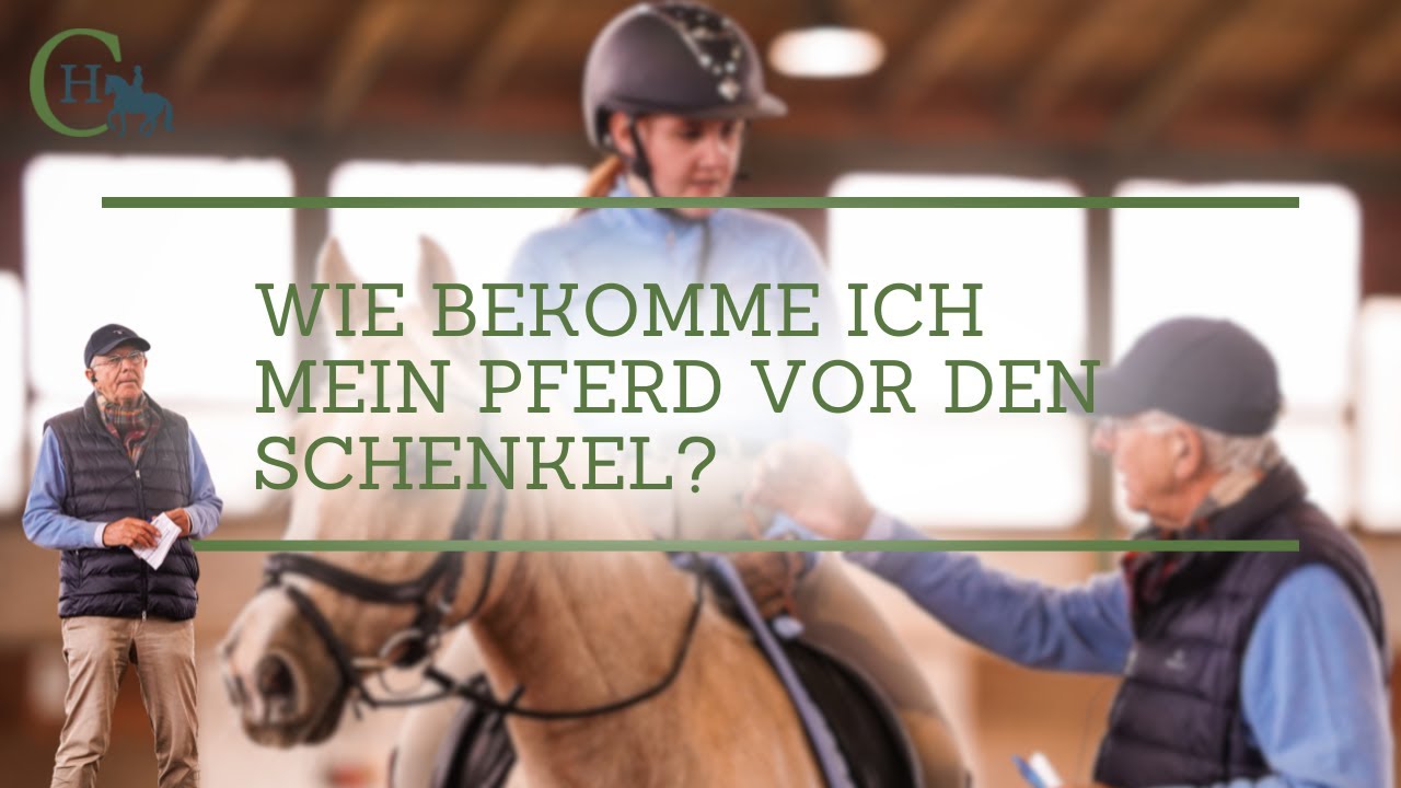 Wie Bekomme Ich Mein Pferd An Den Zügel Wie bekomme ich mein Pferd vor den Schenkel? - Frag Christoph Hess