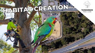 HABITAT CREATION