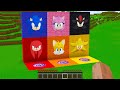 Survival in round pits with sonic super sonic shadow sonic knuckles amy rose tails in minecraft