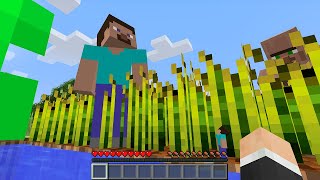 So I secretly was ᵗᶦⁿʸ in Minecraft HIDE \& SEEK...