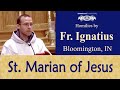 Stellar Sanctity of Marian of Jesus - May 28 - Homily - Fr Ignatius