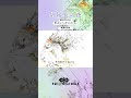 紫陽花の夜 /ねじ式 feat.GUMI