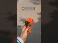 #love #flower #short #vlog