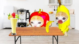 Apple cat makes a smoothie for banana cat| Banana Cat Funny