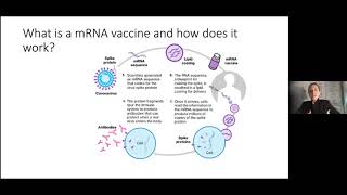 COVID-19 Q&A Webinar Presented by Dr. Amler and Dr. DiCaprio