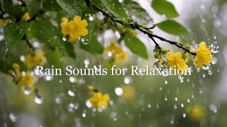 Ambient Sounds for Relaxation |  Ambient Music and Rain Sounds for Stress Relief and Relaxation