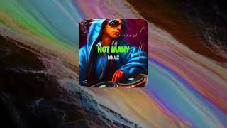 Scribe - Not Many (Dan Aux Remix)