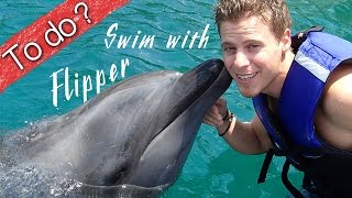 Swim with dolphin - Ocean Adventure - To do  by OrDub