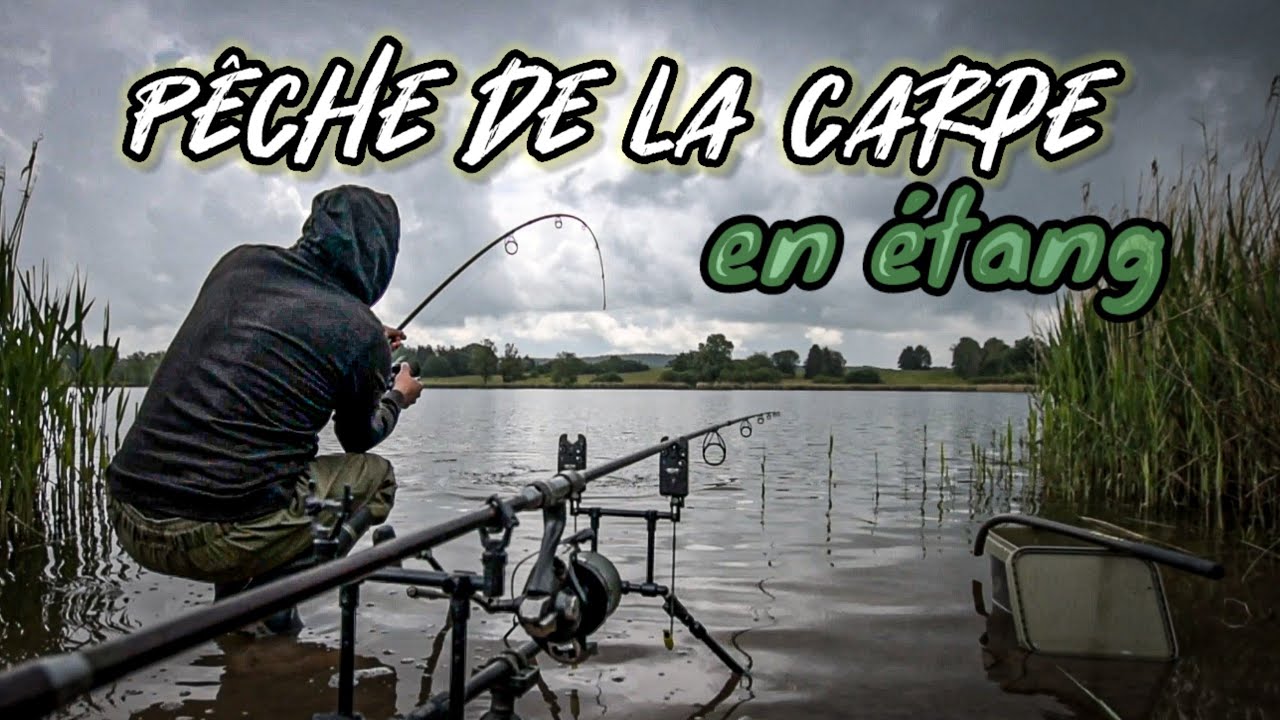 Pêche de la carpe en étang