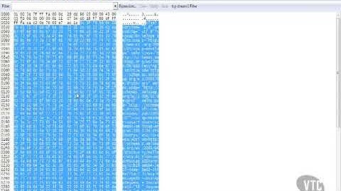 Wireshark | Wireshark Interface |  Packet Bytes