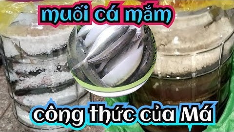 Mùa cá Bạc Má đến tranh thủ muối cá dự trữ để dành ăn.chia sẽ cách muối cá của Má