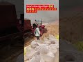 రైతు 6 గాల కష్టం 😭😭😭🌾🌾🌾🌾
