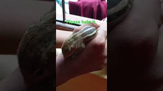 Httpsyoutubekniygnl9zo0sixawdxxl8dwj2rdyn watch This Too