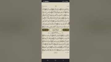 سورة النبأ بصوت الشيخ إياد أحمد سيد