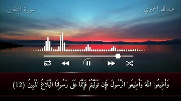 وأطيعوا الله وأطيعوا الرسول ...// حالات واتساب قرآن كريم// بصوتي