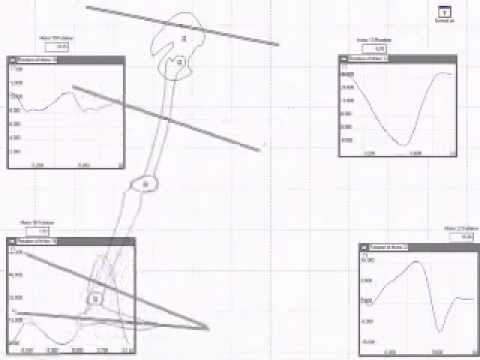 Euler Angles