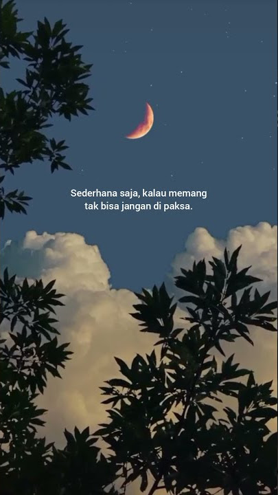 kalo memang tidak bisa jangan di paksa || #shorts #storywa