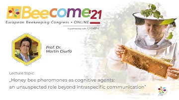 Honeybee pheromones as cognitive factors - Prof. Dr. Martin Giurfa - BEECOME 2021