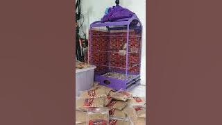 CIGUN BREN GELOMBANG